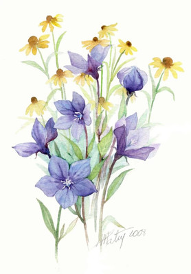 色彩水彩與網絡技術 清新雅致的手繪插畫在數字時代的研究與應用