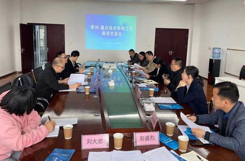 區(qū)域協(xié)同推進中匈技術交流與合作 技術轉讓的機遇與挑戰(zhàn)